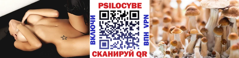 наркошоп  Елабуга  Псилоцибиновые грибы ЛСД 