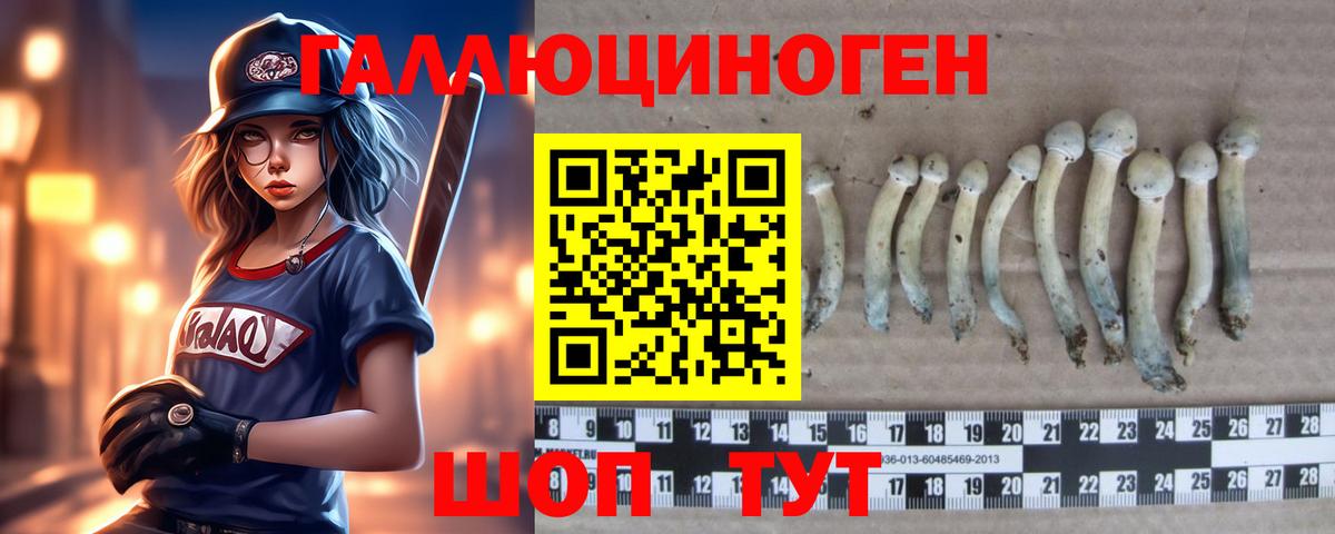 Псилоцибиновые грибы ЛСД  Вход с VPN  Елабуга 